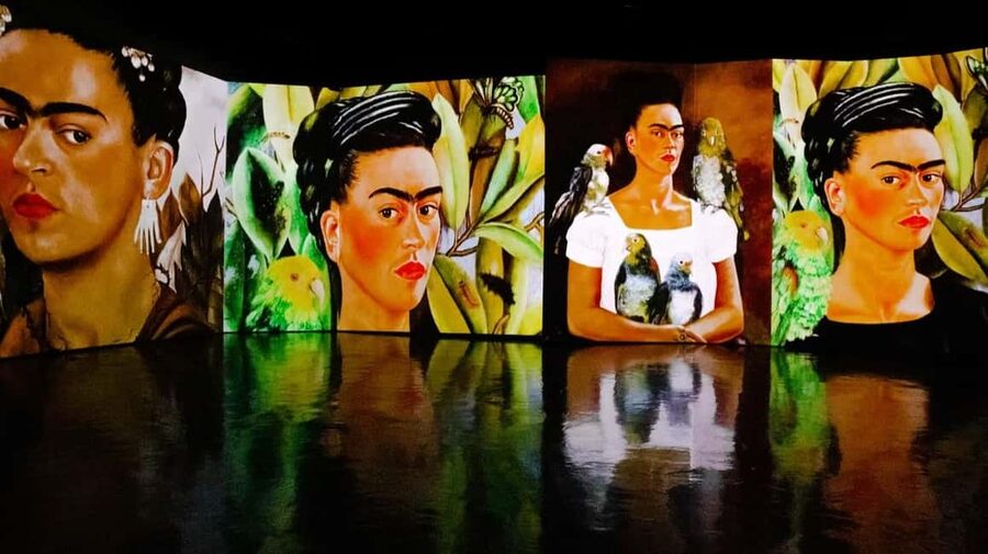 Amsterdam: Frida Kahlo Immersive & Photo Exhibition - Getting to Vincent Hall by Amsterdam Centraal