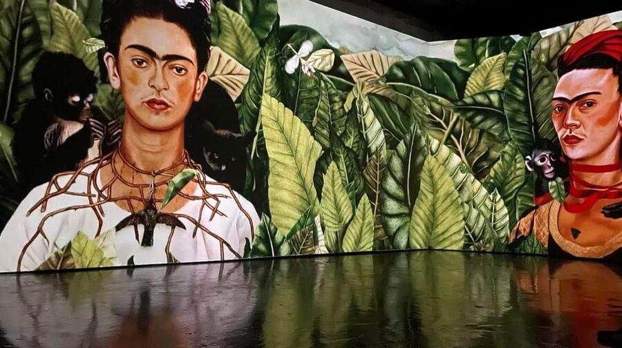Amsterdam: Frida Kahlo Immersive & Photo Exhibition - Frida’s life and diary: why the photos and excerpts matter