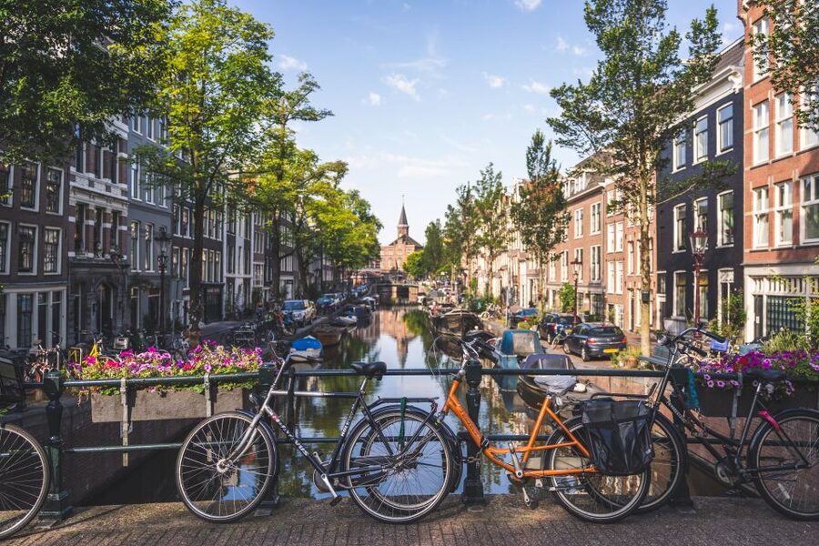 Amsterdam full day tour: Walking, Biking & Cruising - Stops that change how you see Amsterdam (De Gooyer, Artis, Magere Brug)