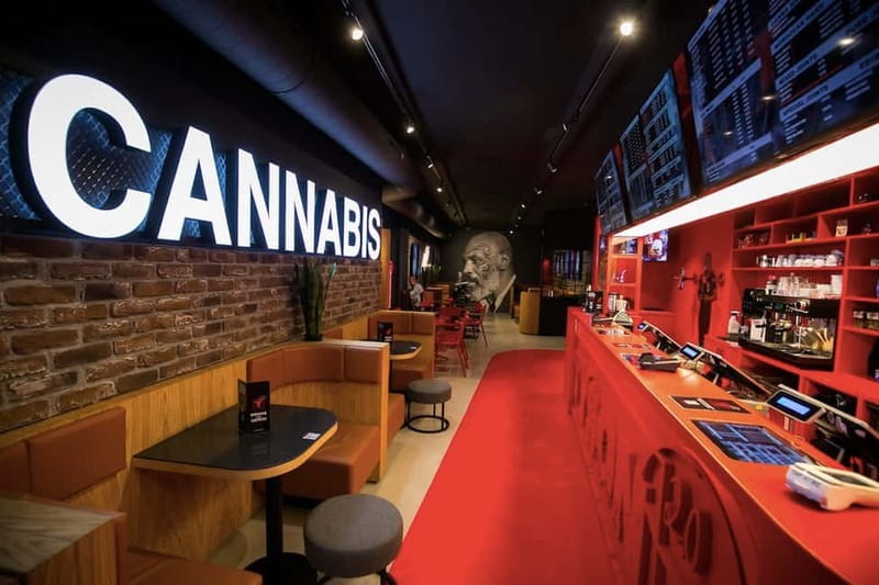 Amsterdam: Ganja Walking Tour - From Royal Palace to Cafe the Barrel: the City-Start Hits