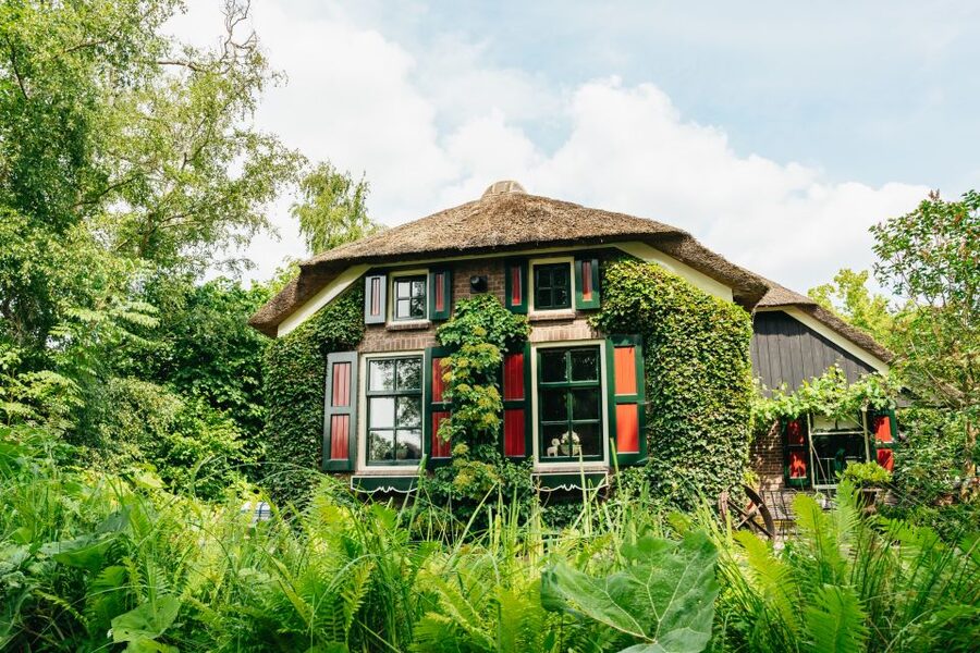 Amsterdam: Giethoorn, Zaandam & Zaanse Schans Tour w/ Pickup - Cheese at Catharina Hoeve: Tasting With Context