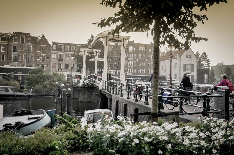 Amsterdam: Guided City Bike Tour in French - From IJdok 47 to the Western Islands: Your First Canal Views
