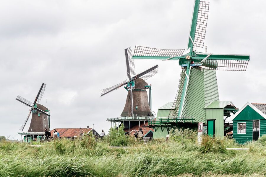 Amsterdam: Guided Zaanse Schans, Windmills & Cheese Tour - Windmills and optional extras: views are included, interiors cost extra