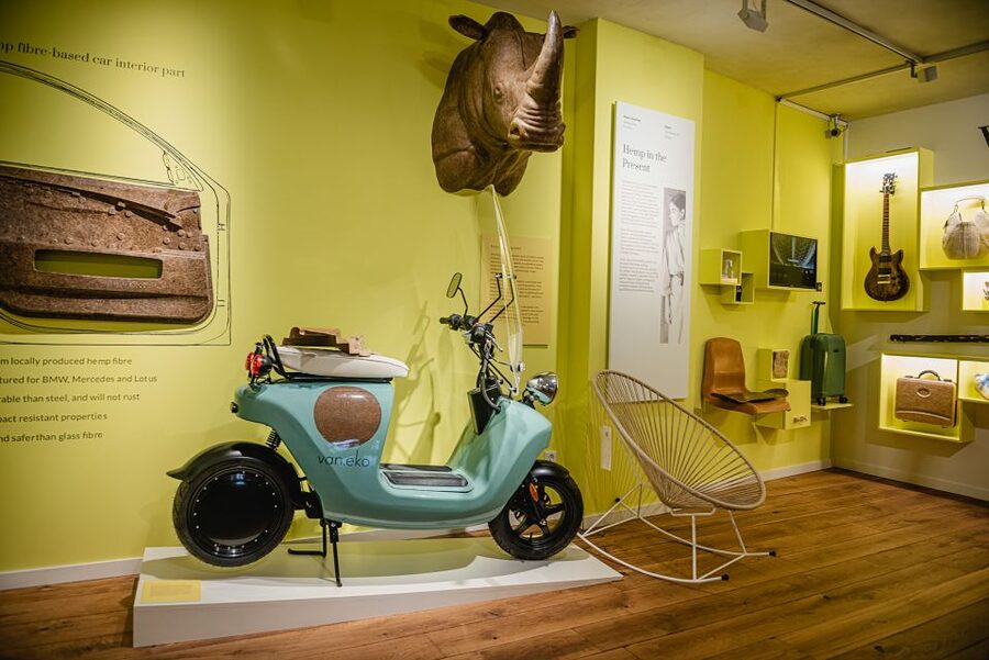 Amsterdam: Hash, Marihuana, and Hemp Museum Entry Ticket - The cannabis garden with live plants