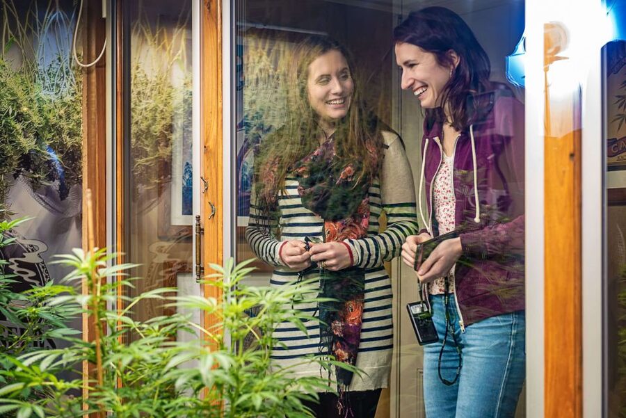 Amsterdam: Hash, Marihuana, and Hemp Museum Entry Ticket - What your ticket covers, and what it does not
