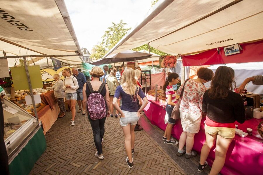 Amsterdam: Hidden Gems & Highlights Guided Bike Tour - Vondelpark bike paths, Amsterdam’s green reset