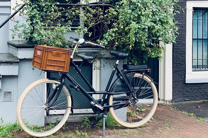 Amsterdam: Hidden Gems Walking Tour in German - Key highlights worth your time