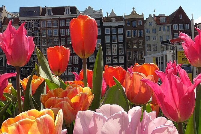 Amsterdam Highlights and Hidden Gems Walking Tour with Fun Guide - Stop 3: Nieuwmarkt Streets and Walking in Rembrandt’s Footsteps