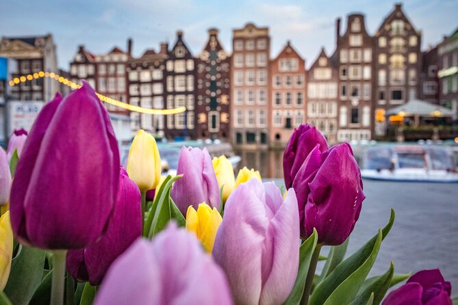 Amsterdam Highlights Walking Tour - Key things to know before you go