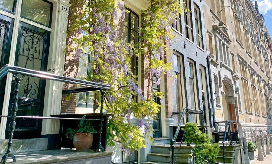 Amsterdam: Inner City Bike Tour German or English (Private) - Cycling the inner city with a German or English guide