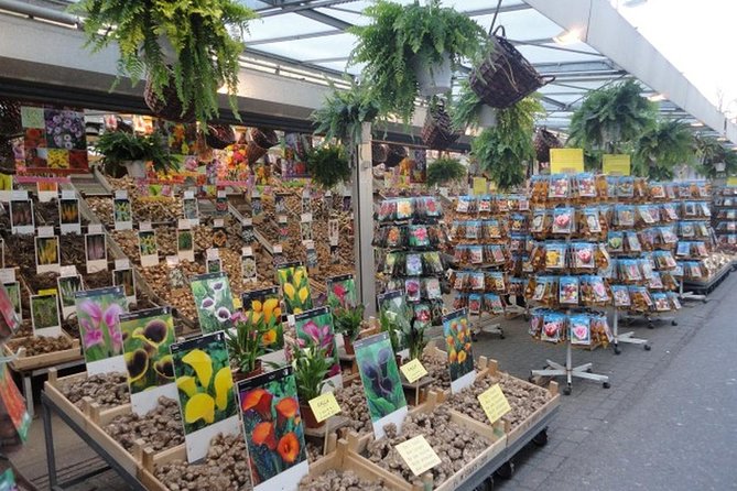Amsterdam Introduction Tour with a Private Guide - Why this Damrak-based private walk works in 3 hours
