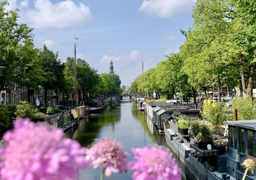 Amsterdam: Jordaan District Tour with a German guide - Noorderkerk and Het Papeneiland: two quick mood shifts