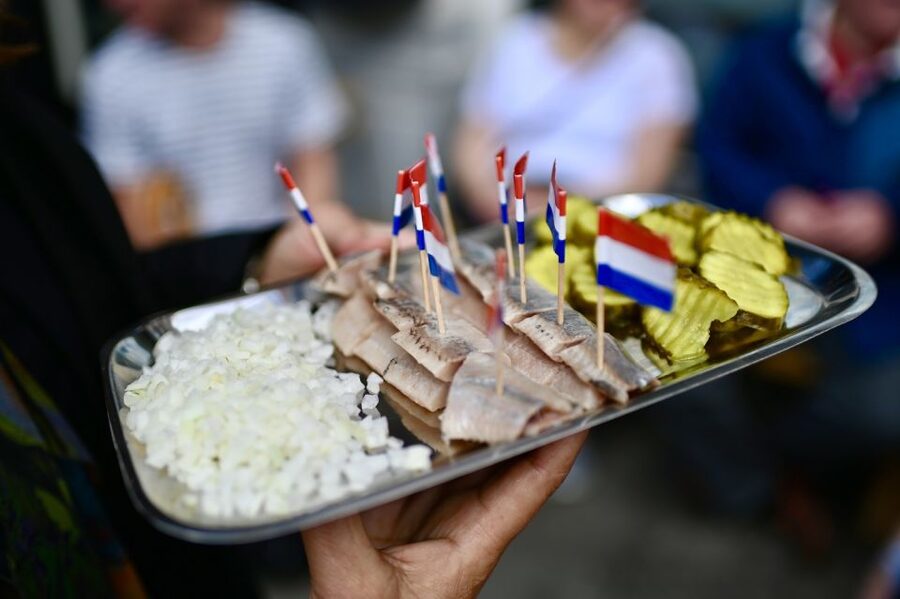 Amsterdam: Jordaan Food Tour of 10+ Local Classic Tastings - Key things to know before you go
