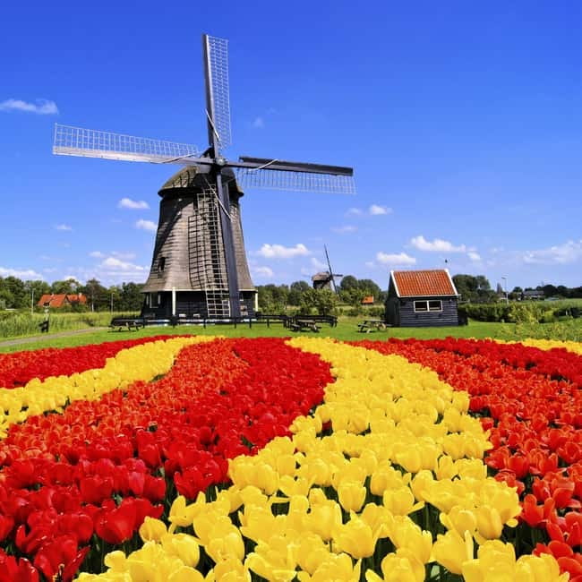 Amsterdam: Keukenhof and Tulip Fields Private Day Trip - Inside Keukenhof: how free time actually helps you