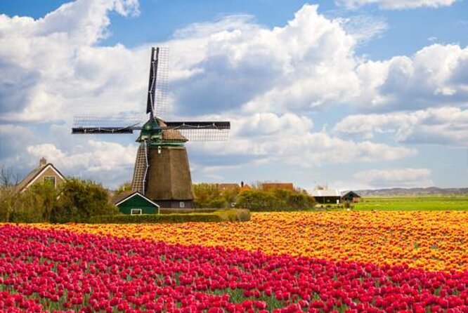 Amsterdam: Keukenhof and Zaanse Schans Windmills Guided Day Trip - Bulb flower carpets around Lisse: the photo stop that depends on the season