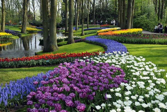 Amsterdam: Keukenhof Entry & Shuttle Bus with Flexible Return - Luxury Coach Ride to Keukenhof: Quick Timing, Tulip-Field Scenery