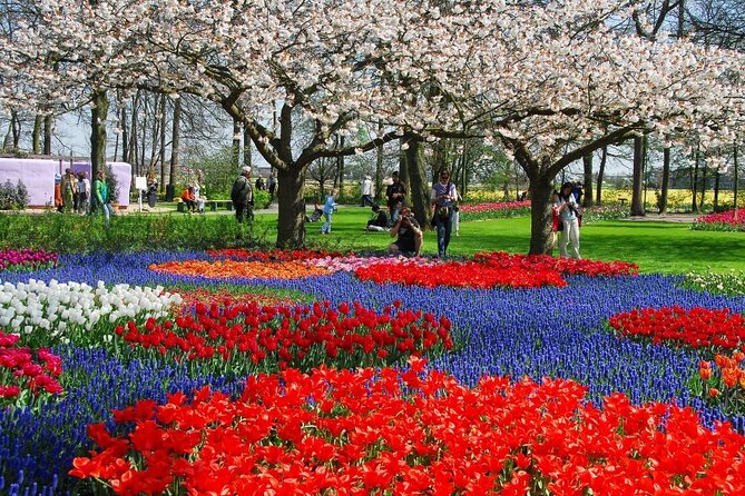 Amsterdam: Keukenhof Entry & Shuttle Bus with Flexible Return - Price and Value: Why $42.33 Can Be a Smart Deal
