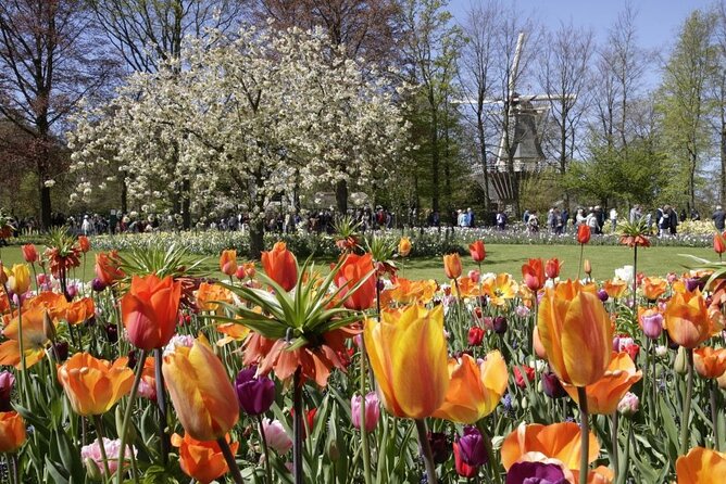 Amsterdam: Keukenhof Entry & Shuttle Bus with Flexible Return - Arriving at Keukenhof: Up to 7 Million Bulbs, Real Time to Wander