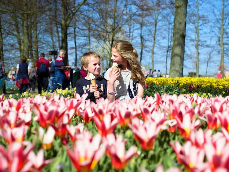 Amsterdam: Keukenhof Entry & Shuttlebus with Flexible Return - Key Things To Know Before You Go
