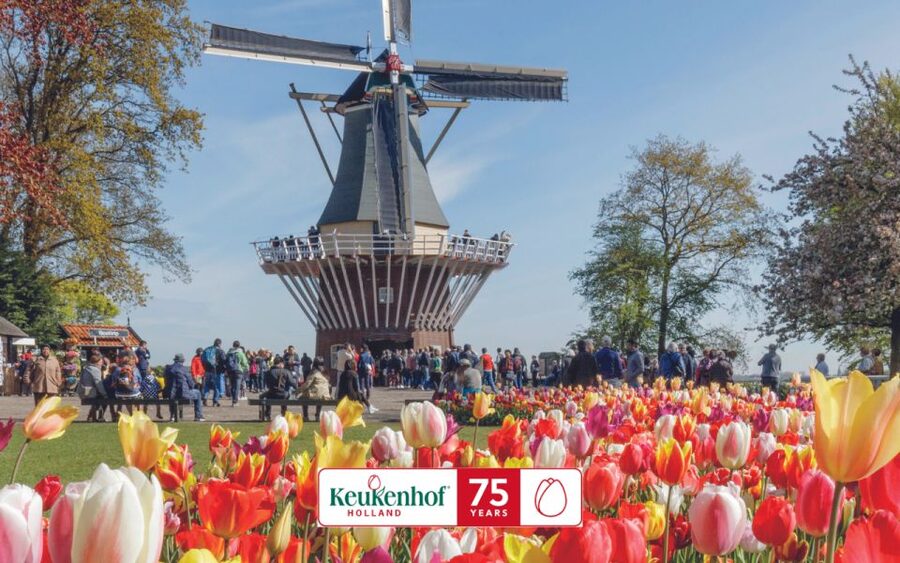 Amsterdam: Keukenhof Entry & Shuttlebus with Flexible Return - FAQ