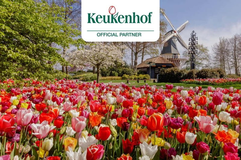 Amsterdam: Keukenhof Entry & Shuttlebus with Flexible Return - The Coach Ride Out: Comfortable, Fast, And Built For Spring Days