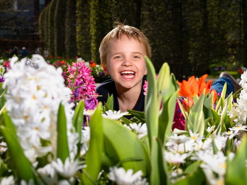 Amsterdam: Keukenhof Entry & Shuttlebus with Flexible Return - Cost and Value: What You Pay Around $41, And What You Get For It