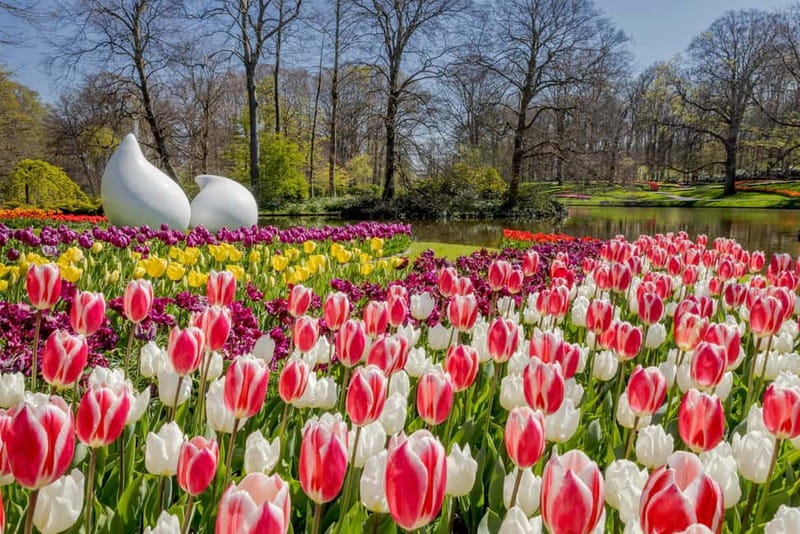 Amsterdam: Keukenhof Entry & Shuttlebus with Flexible Return - Who This Keukenhof Shuttle Day Trip Is Best For