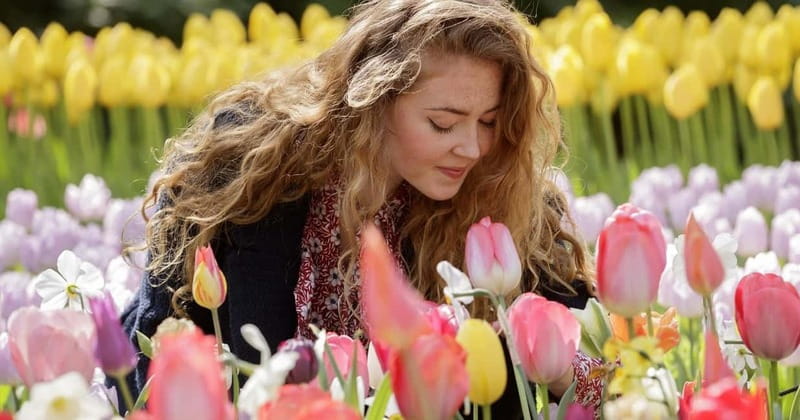 Amsterdam: Keukenhof Entry & Shuttlebus with Flexible Return - Should You Book This Keukenhof Shuttle Tour?