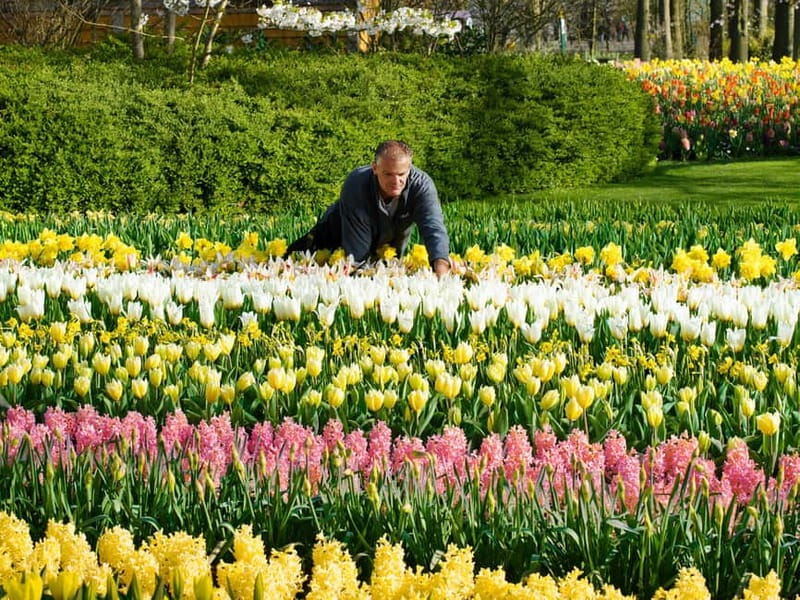 Amsterdam: Keukenhof Entry & Shuttlebus with Flexible Return - This Is Holland Check-In: Tickets, Toilets, Coffee, And Getting Settled