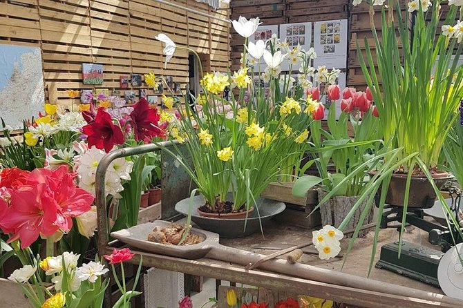 Amsterdam : Keukenhof FlowerFarm Privatetour Skip-The-Line ticket - Photography and Crowd Timing Tips That Actually Work