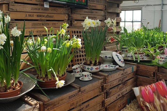 Amsterdam : Keukenhof FlowerFarm Privatetour Skip-The-Line ticket - Price and Value: What You Pay for a Private Flower Day