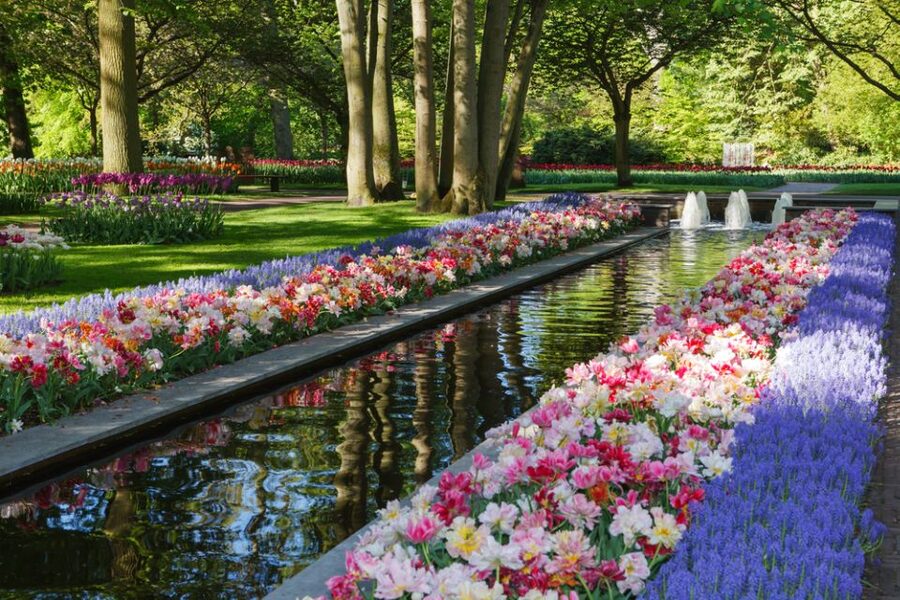 Amsterdam: Keukenhof Gardens Guided Tour Spanish and English - A Half-Day Tulip Mission From Amsterdam to Keukenhof