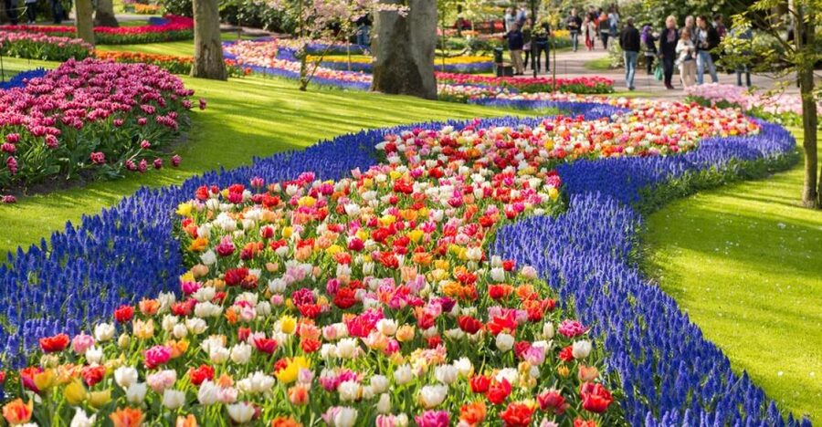 Amsterdam: Keukenhof Gardens Guided Tour Spanish and English - Mills, Lakes, Fountains, and Wide Promenades: Where Photos and Calm Fit Together