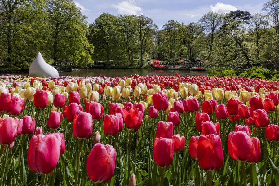 Amsterdam: Keukenhof Ticket with Shuttle Bus + Canal Cruise - The Luxury Amsterdam Canal Cruise: Heated Comfort, Live Captain Guidance, and Great Views