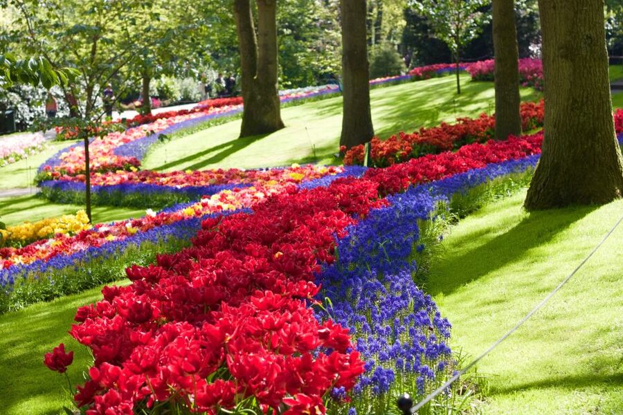 Amsterdam: Keukenhof Ticket with Shuttle Bus + Canal Cruise - Price and Value: Is About $64 Actually Fair?