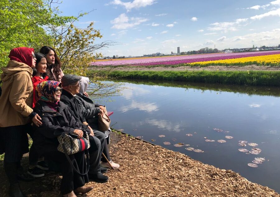 Amsterdam: Keukenhof Tulip Garden and Giethoorn Experience - Key Highlights You’ll Actually Notice