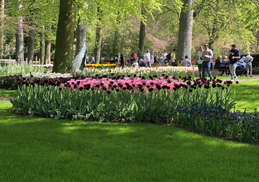 Amsterdam: Keukenhof Tulip Garden and Giethoorn Experience - Price and Value: Is $175 Really Fair for This Package?