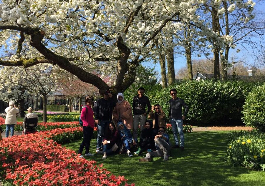 Amsterdam: Keukenhof Tulip Garden and Giethoorn Experience - Who This Tour Fits Best (And Who Should Skip It)