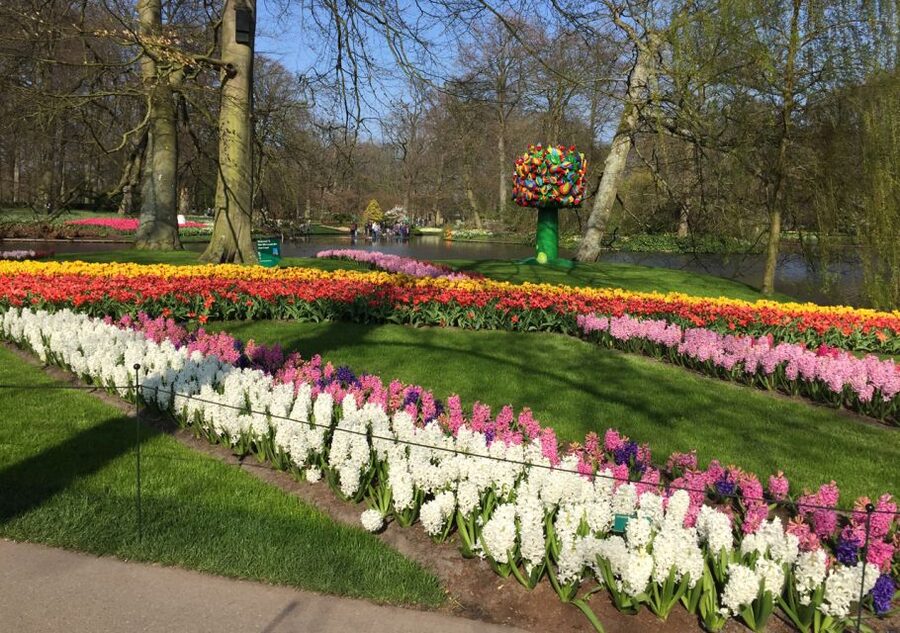 Amsterdam: Keukenhof Tulip Garden and Giethoorn Experience - Keukenhof Tulip Garden: 3.5 Hours of Flowers, Smell, and Photo Stops