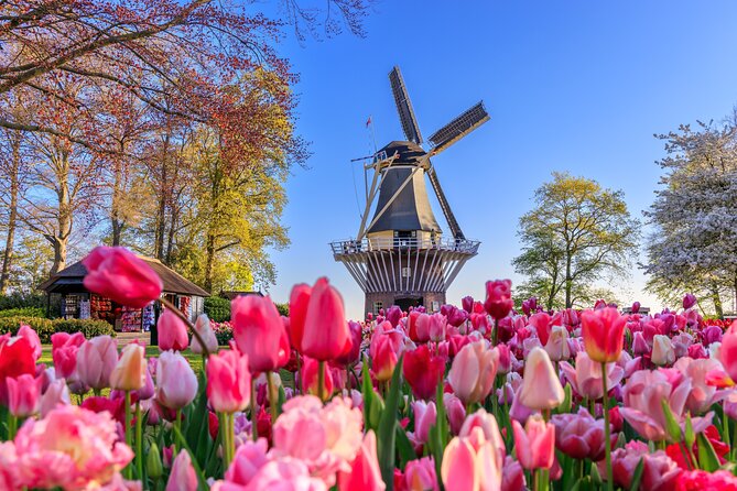 Amsterdam: Keukenhof, Zaanse Schans & Volendam Tour - Key highlights to know before you go