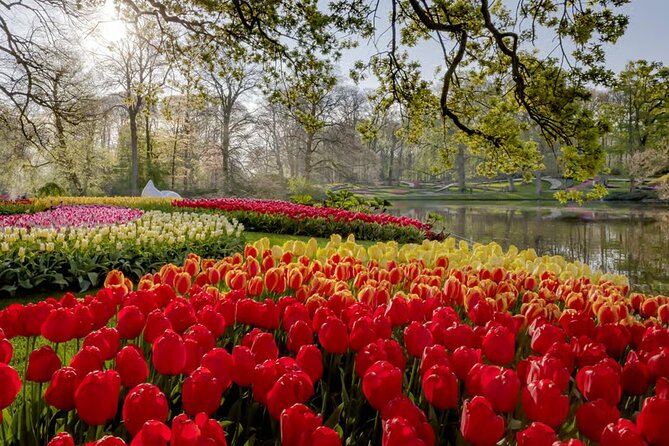 Amsterdam: Keukenhof, Zaanse Schans & Volendam Tour - Back in Amsterdam: free time that you should use well