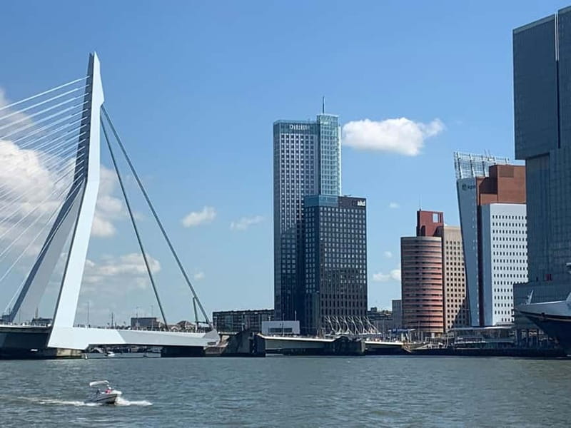 Amsterdam: Kinderdijk, Euromast, Delft and Den Haag Day Tour - Timing, Van Rides, and How the 8.5 Hours Feel in Real Life