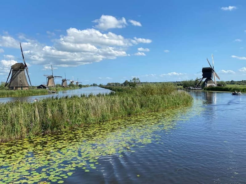 Amsterdam: Kinderdijk, Euromast, Delft and Den Haag Day Tour - The Guide Experience, and Why It Changes Everything