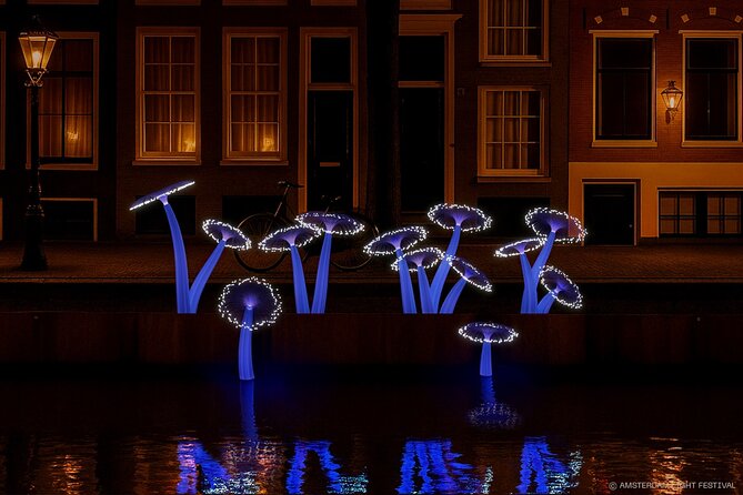Amsterdam: Light Festival Boat with Unlimited Drinks & Snack - Price and value: is $33.86 worth it for 1 hour 15 minutes?