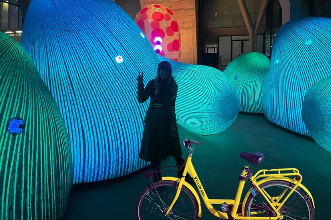 Amsterdam Light Festival Guided Bike Tour with Private Option - Key things you should know before you go