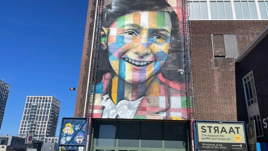 Amsterdam: North Amsterdam Bike Tour - NDSM wharf and the Anne Frank graffiti scene