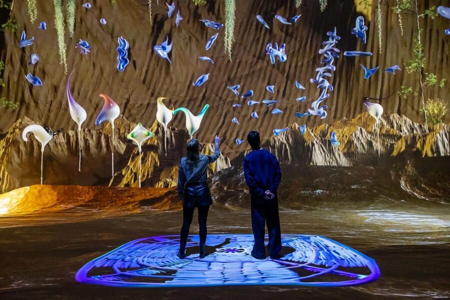 Amsterdam: Nxt Museum 'Still Processing' Exhibition Ticket - Key things to know before you go