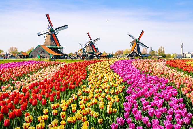 Amsterdam Pass: 45+ Things To Do - Includes Rijksmuseum - Houseboat Museum and Tour de Bonton, the city’s weirder, human side