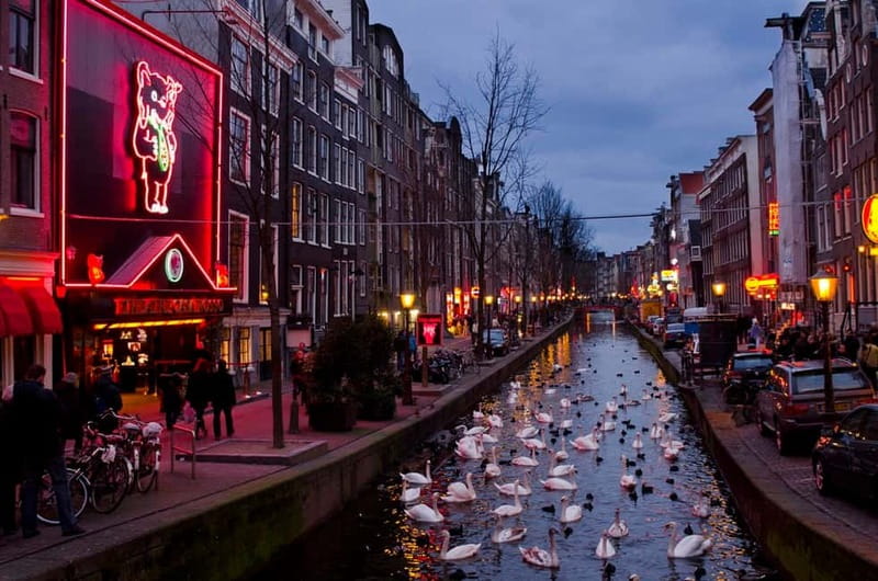 Amsterdam: Photography Masterclass - Private Photo Lesson - Flash, ISO, and focus: practical settings you can test on the walk