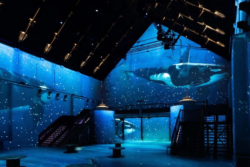 Amsterdam: Prehistoric Planet Immersive Experience Ticket - Key highlights to notice before you go